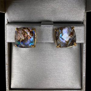Kate Spade Square Stud Earrings (Abalone-esque Design)